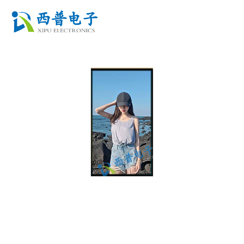 10.1寸800×1280显示屏